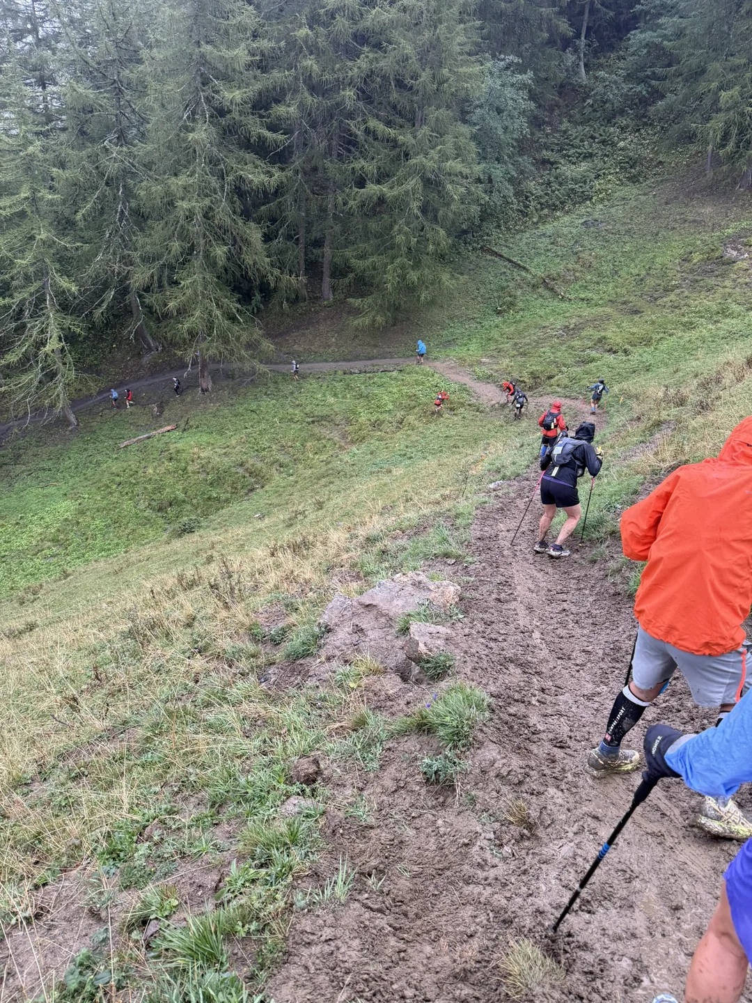 Runners picking their way down a steep, churned mud track through trees.